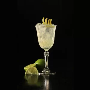 Gin Sour Cocktail serviert im Whiskey-Sour-Glas