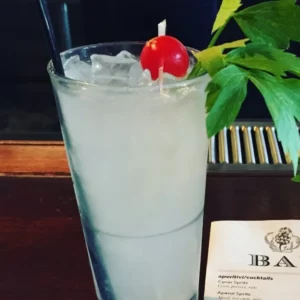 Gin Swizzle Cocktail serviert im Highball-Glas