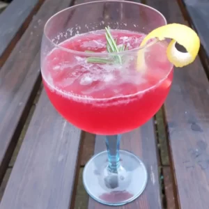 Sloe Gin Cocktail Cocktail serviert im Cocktailglas