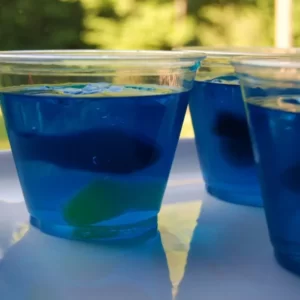 National Aquarium Cocktail serviert im Collins Glass