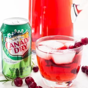 Cocktail Absolutely Cranberry Smash servito in Bicchiere da cocktail