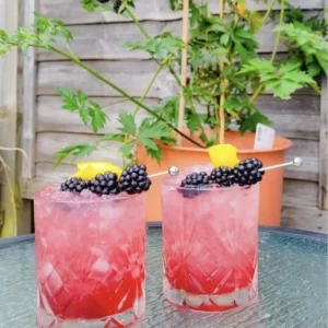 Bramble cocktail served in a Old-Fashioned glass