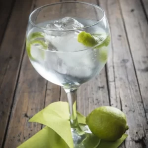 Cocktail Gin and Soda servi dans un Verre Highball