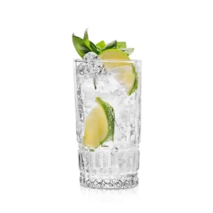 Cocktail Gin Tonic servi dans un Verre Highball