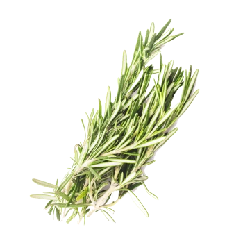Romero, ingrediente del Rosemary Blue